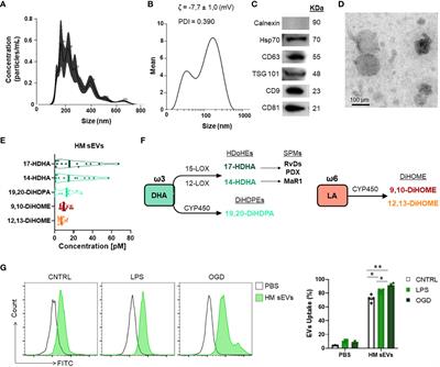 Identification of omega-3 oxylipins in human milk-derived extracellular vesicles with pro-resolutive actions in gastrointestinal inflammation